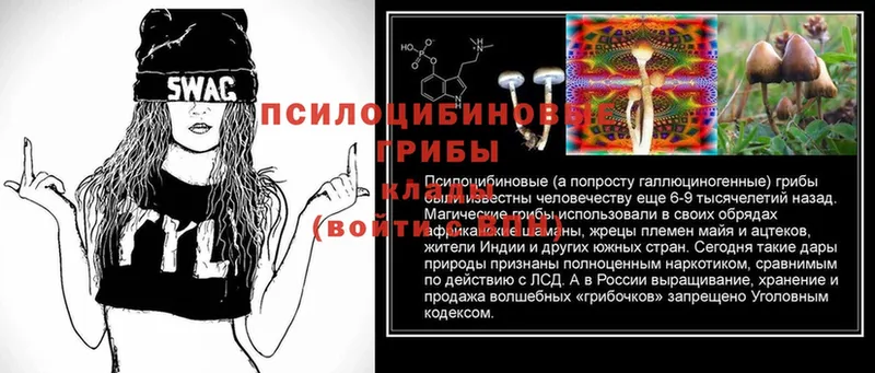 KRAKEN tor  Струнино  Псилоцибиновые грибы Cubensis  даркнет сайт 