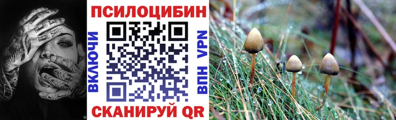 где купить наркоту  Струнино  маркетплейс наркотические препараты  Галлюциногенные грибы мицелий 